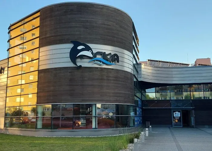 Apartment 91 Krokow - 91 Steps Boleslawiec (Lower Silesia)